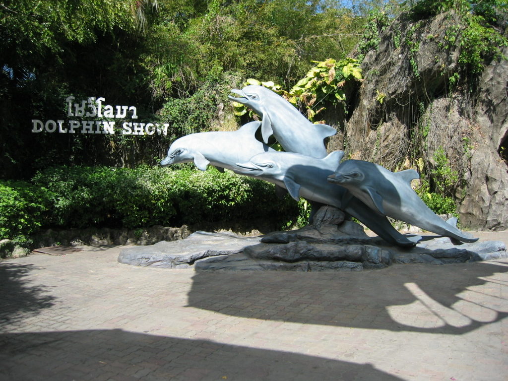 Dolphin Show at Safari World Bangkok