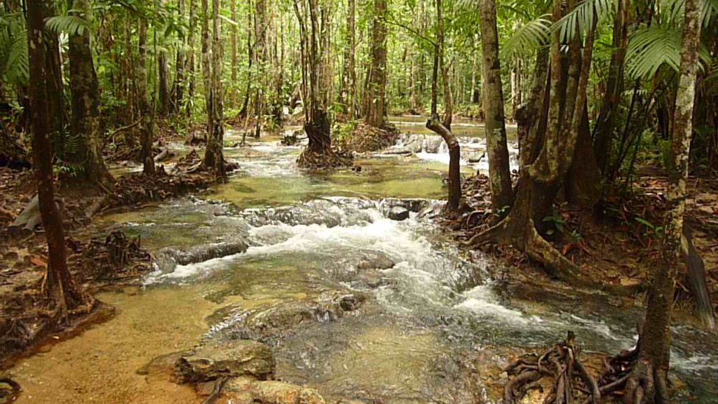 PUT THE EMERALD POOL NEAR KRABI ON YOUR BUCKET LIST NOW!