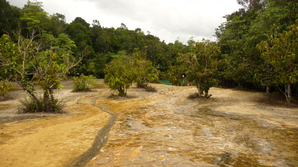 PUT THE EMERALD POOL NEAR KRABI ON YOUR BUCKET LIST NOW!