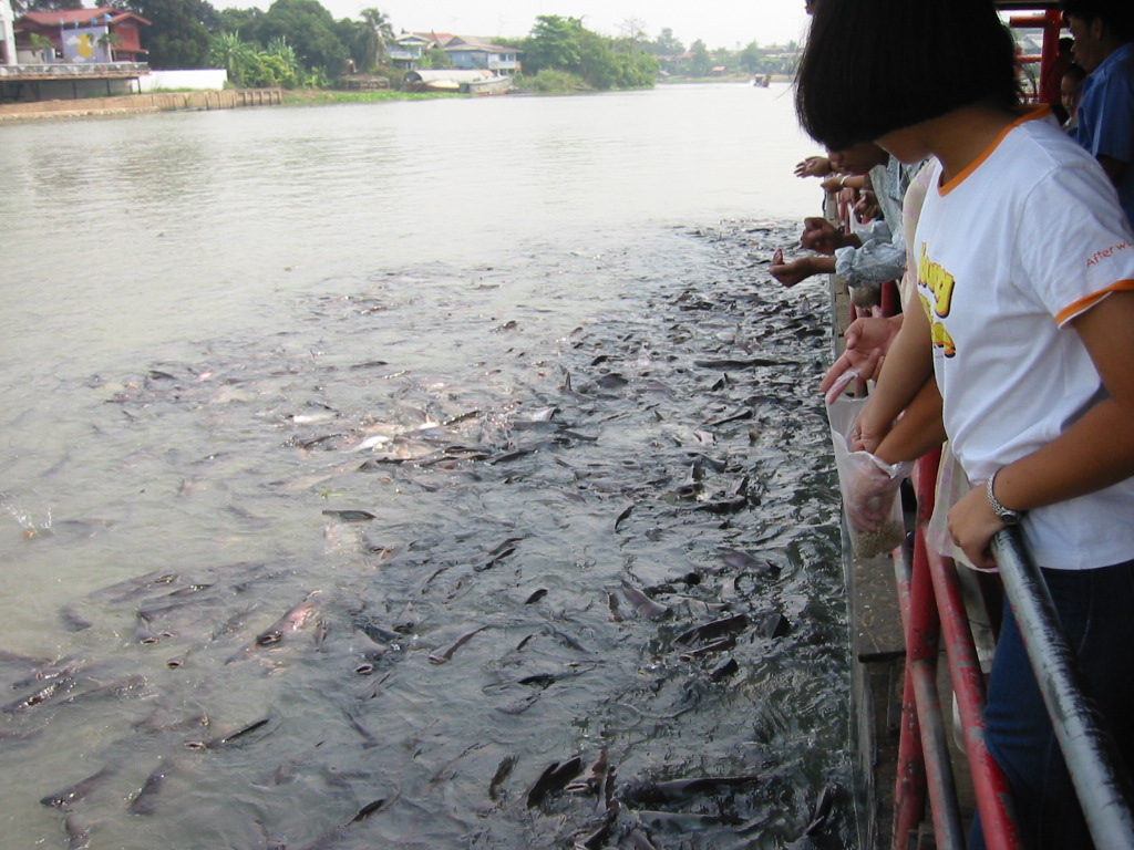 Ayutthaya Historical Park