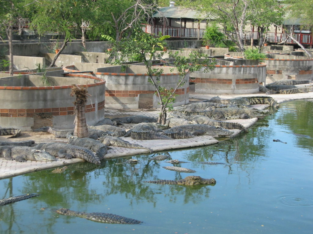 Samutprakarn Crocodile Farm and Zoo