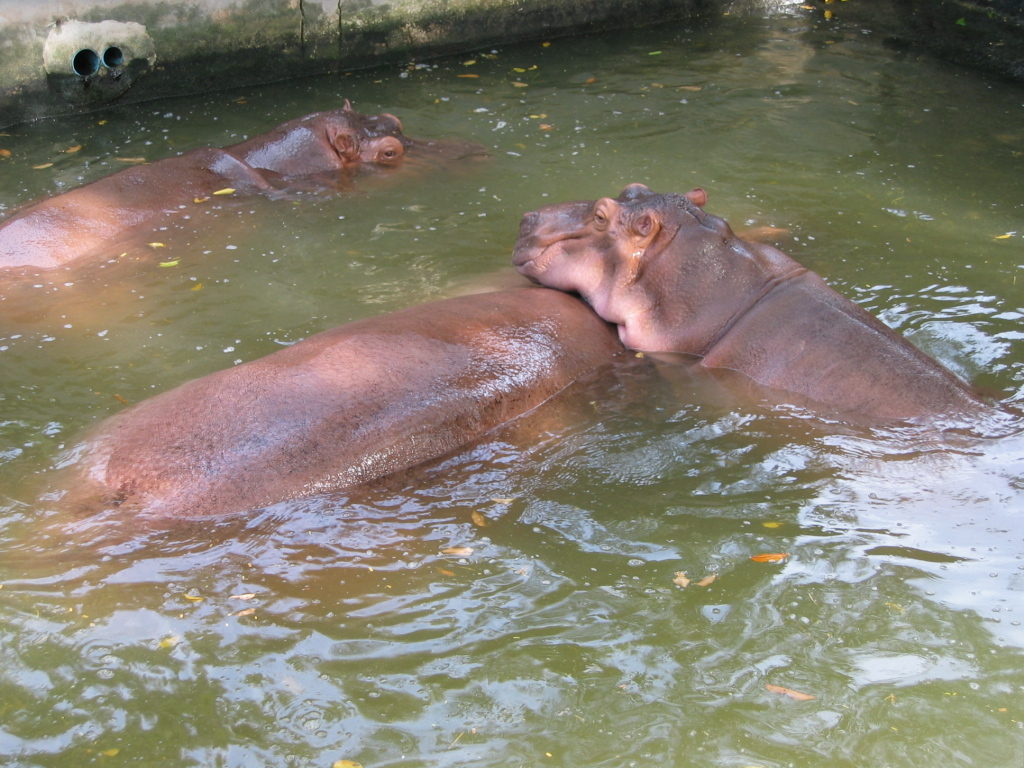 Samutprakam Crocodile Farm and Zoo