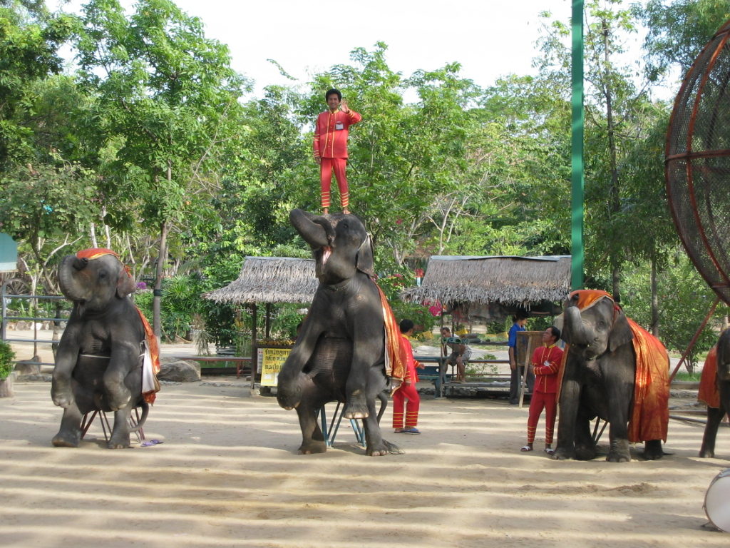 Samutprakam Crocodile Farm and Zoo