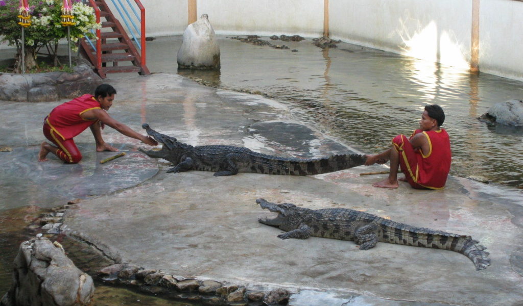 The Samutprakam Crocodile Farm Bangkok