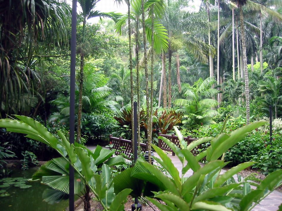 Singapore Botanical Gardens