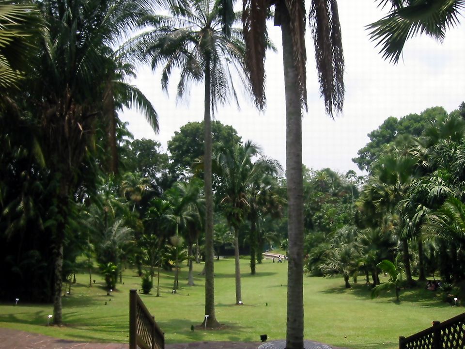 Singapore Botanical Gardens