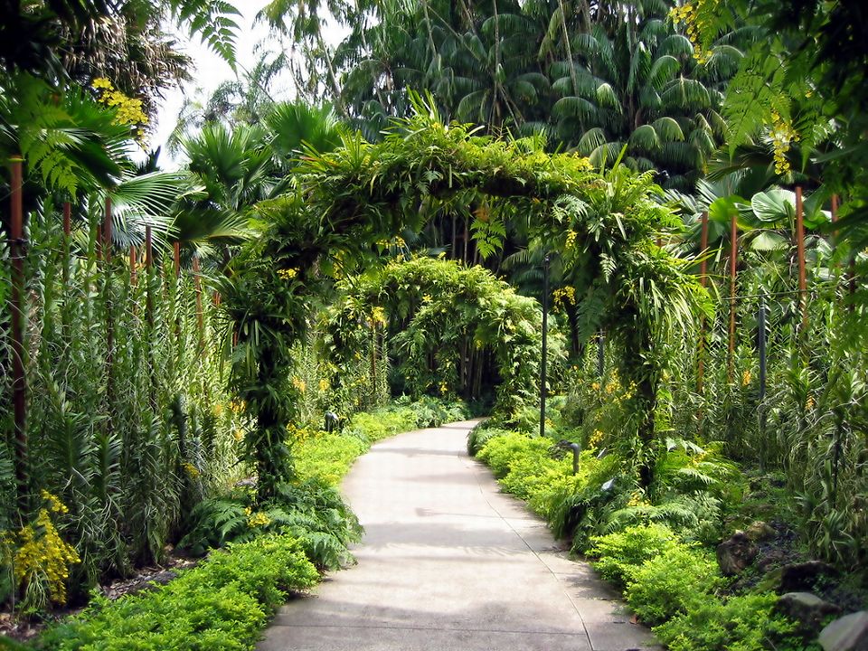 Singapore Botanical Gardens