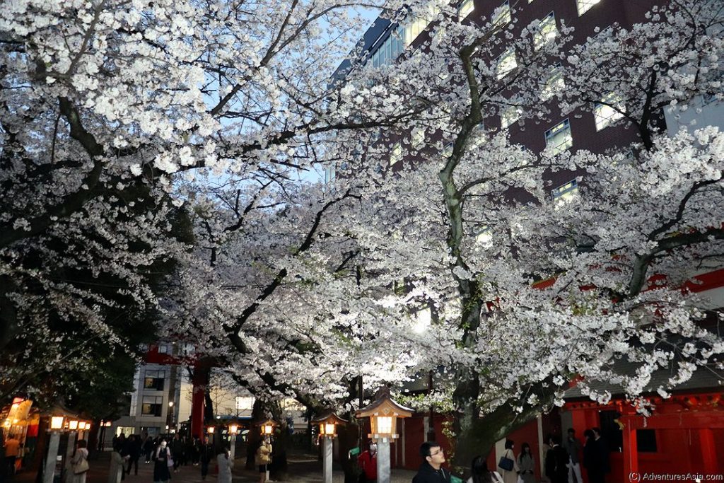 Hanazono Shrine