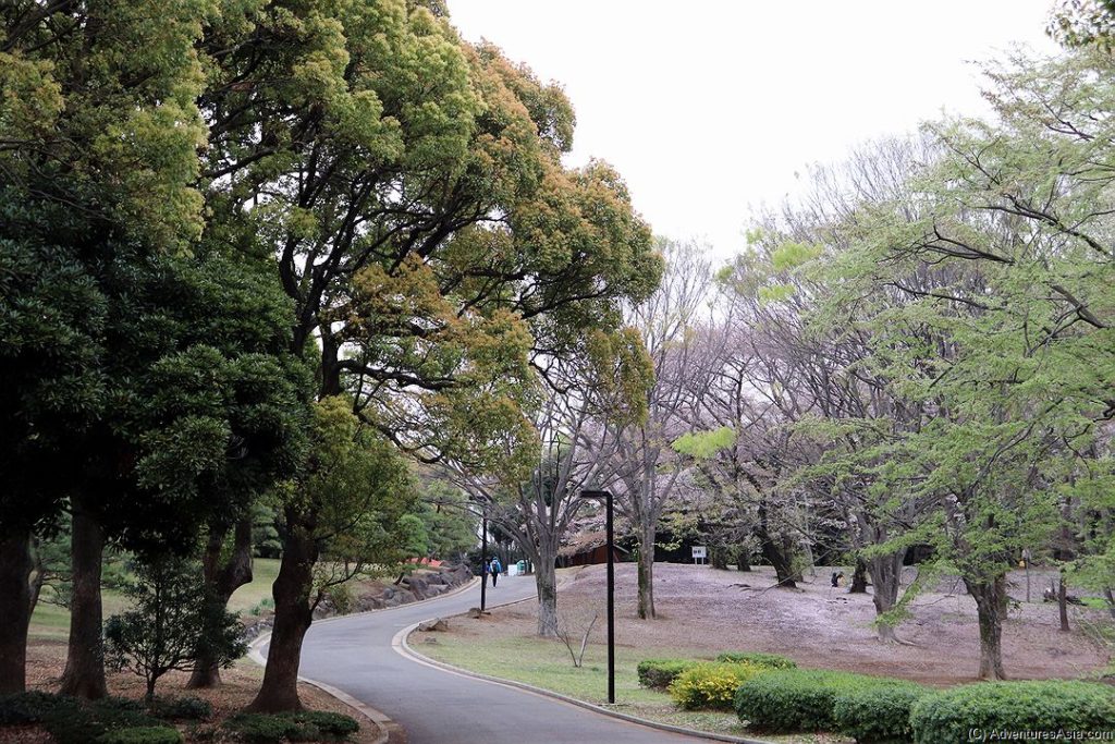 Yoyogi Park